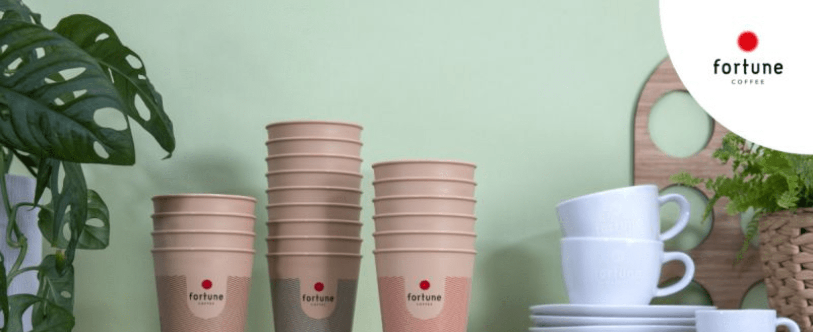 Fortune Coffee  banner – Hallo Franchise